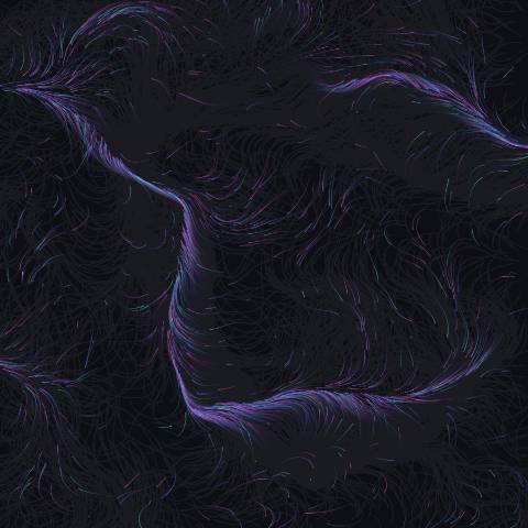 Noise Flow Field