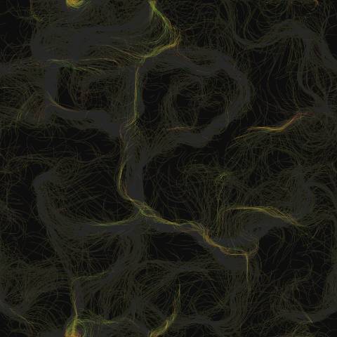 Flow Field Drift
