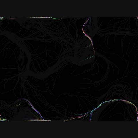 Flow Field Particles