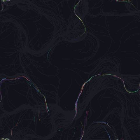 Flow Field Particles