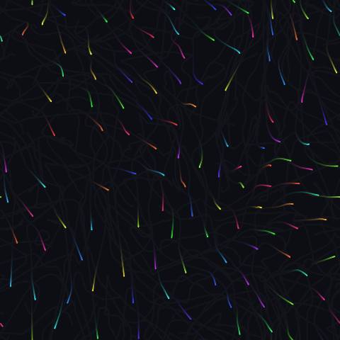 Flocking Particles