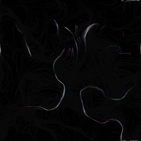 Flowing Particle Field