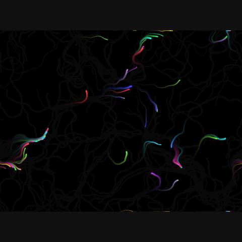 Flowing Particles