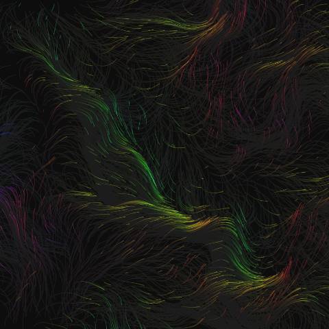 Flow Field Ribbons