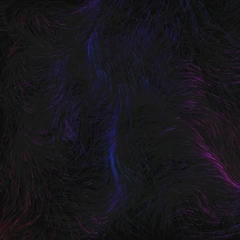 Flow Field Ribbons