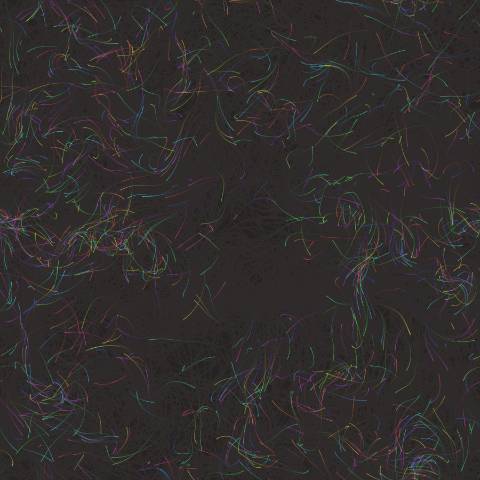 Flow Field Particle Dance