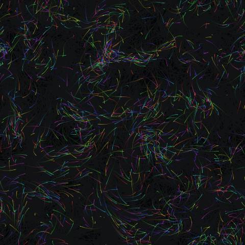 Flow Field Particles