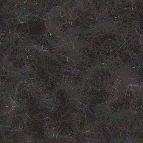Flow Field Particles