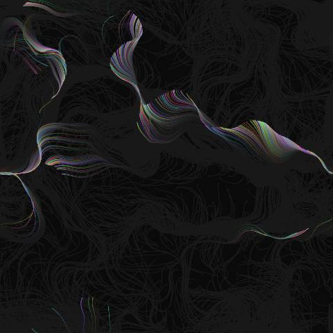 Flow Field Particle Canvas