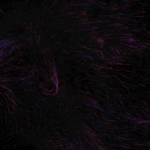 Generative Flow Field (p5.js)