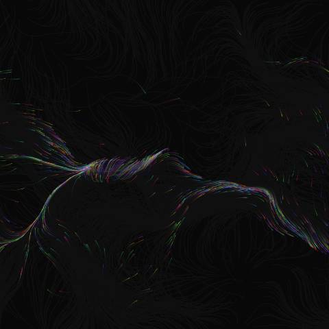 p5.js Perlin Flow Field