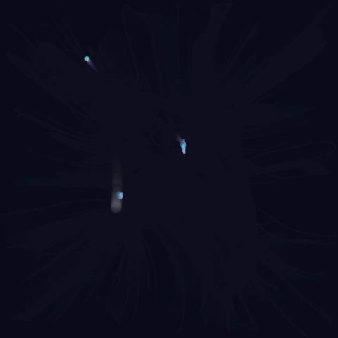 Cosmic Web Attractor