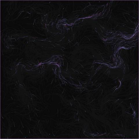 Interactive Flow Field