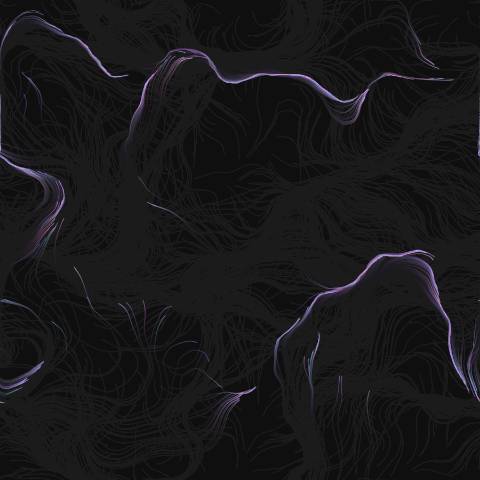 Perlin Noise Flow Field