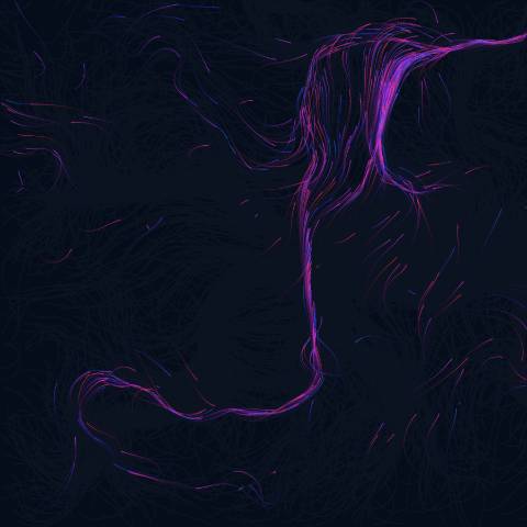 Neon Flow Field