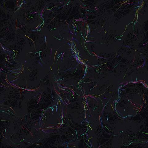 Cosmic Flow Field