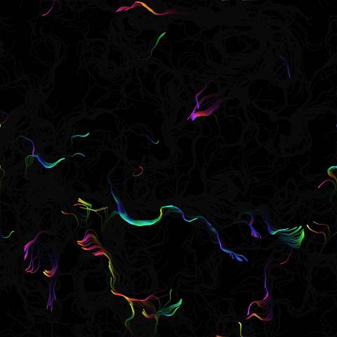 Interactive Neon Flow Field