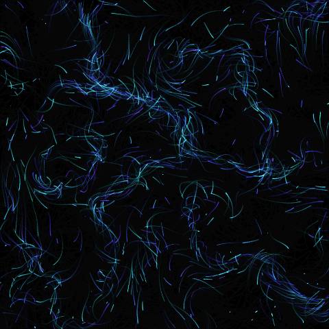 Bioluminescent Flow Swarm
