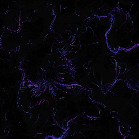 Harmonic Flowfield Nexus
