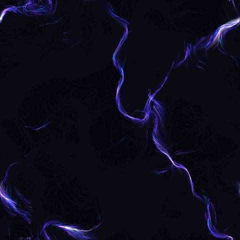 Bioluminescent Flow Field