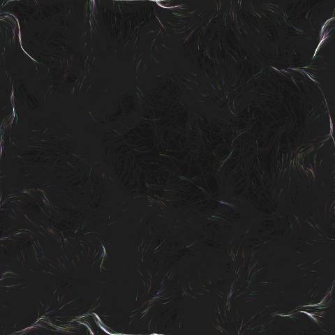 Flow Field Ribbons