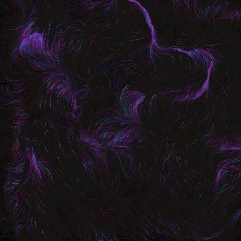 Interactive Flow Field Particles