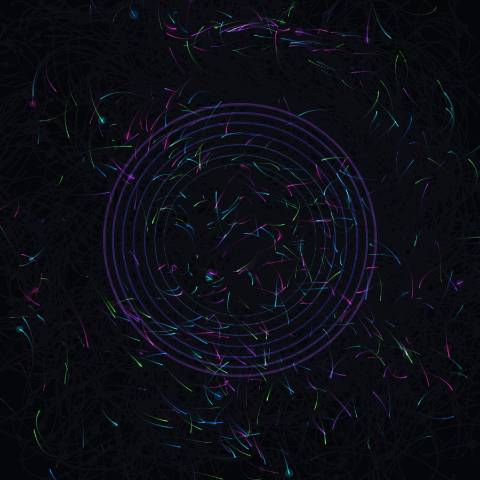Aurora Particle Garden