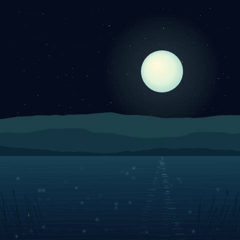 Where the Tide Keeps Stars