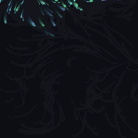 Aurora Drift