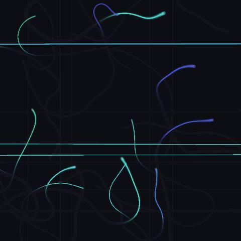 Aurora Ribbons