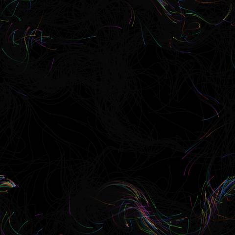 Noise Flow Field