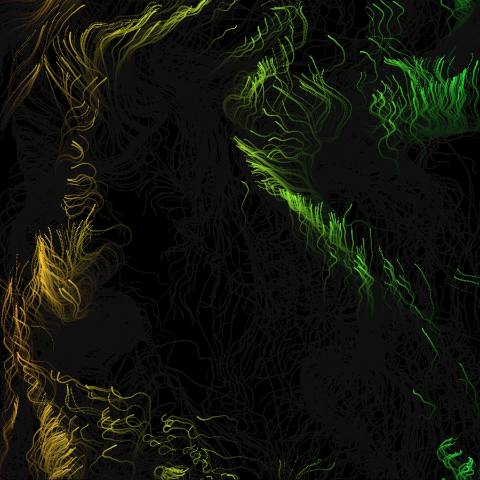Interactive Flow Field Particle System