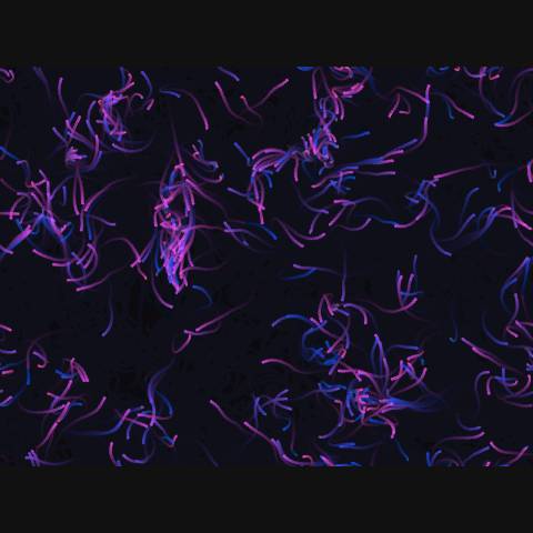 Interactive Flowing Particles