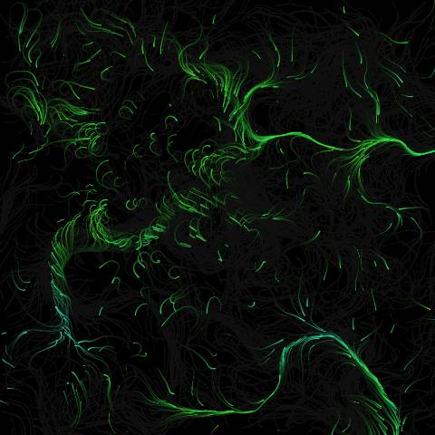 p5.js Interactive Particle Flow Field